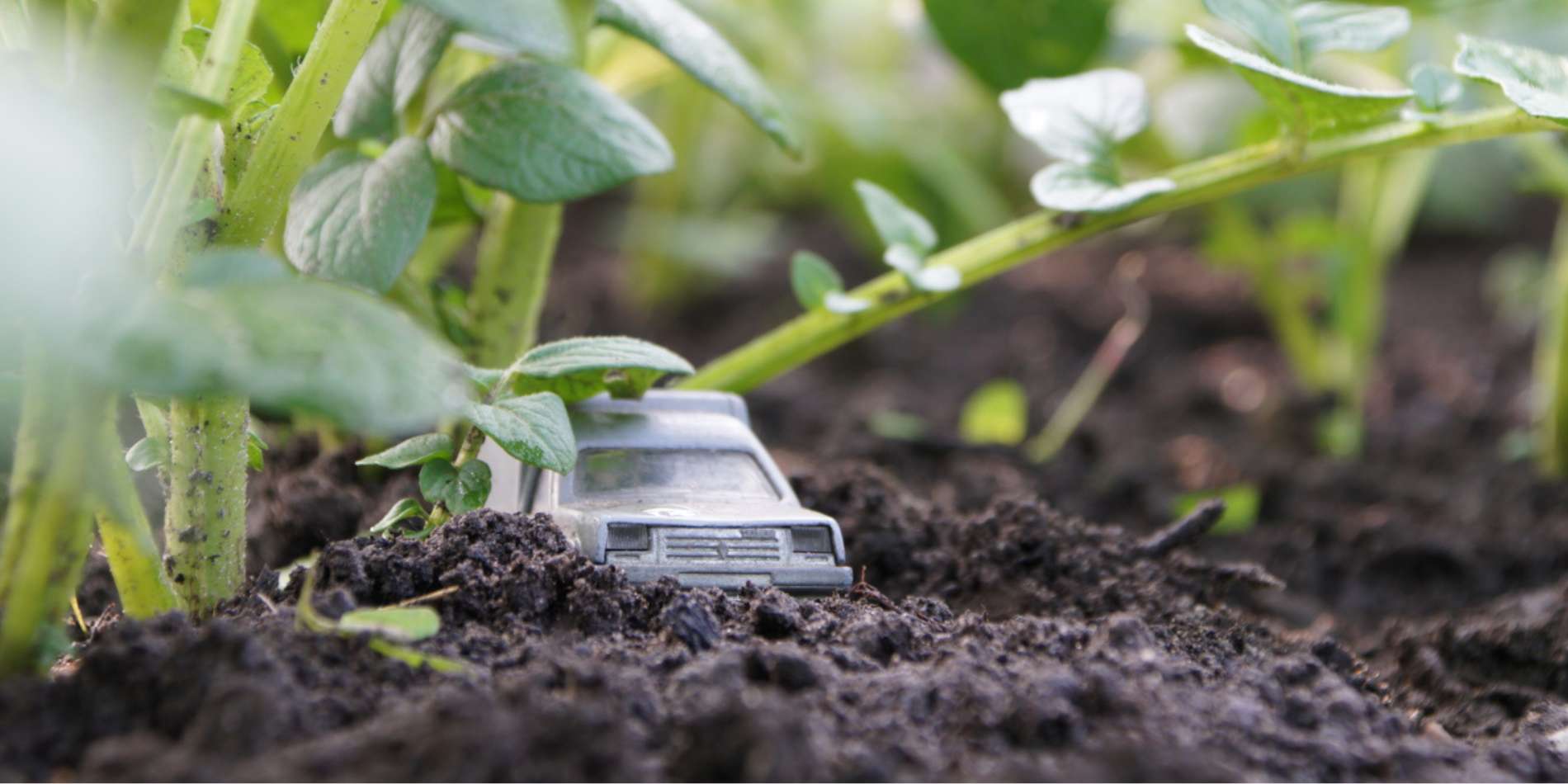 Miniatuur auto in aardappelveld
